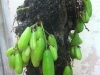 photo-13